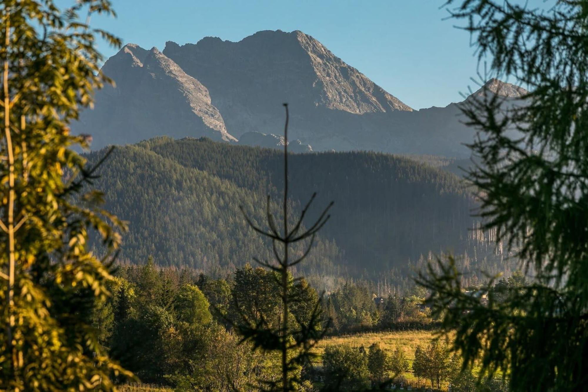 Rent Like Home - Willa Zoniowka Premium Zakopane Eksteriør billede