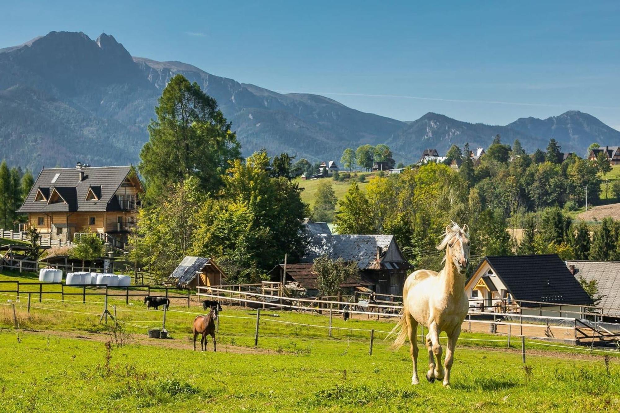 Rent Like Home - Willa Zoniowka Premium Zakopane Eksteriør billede