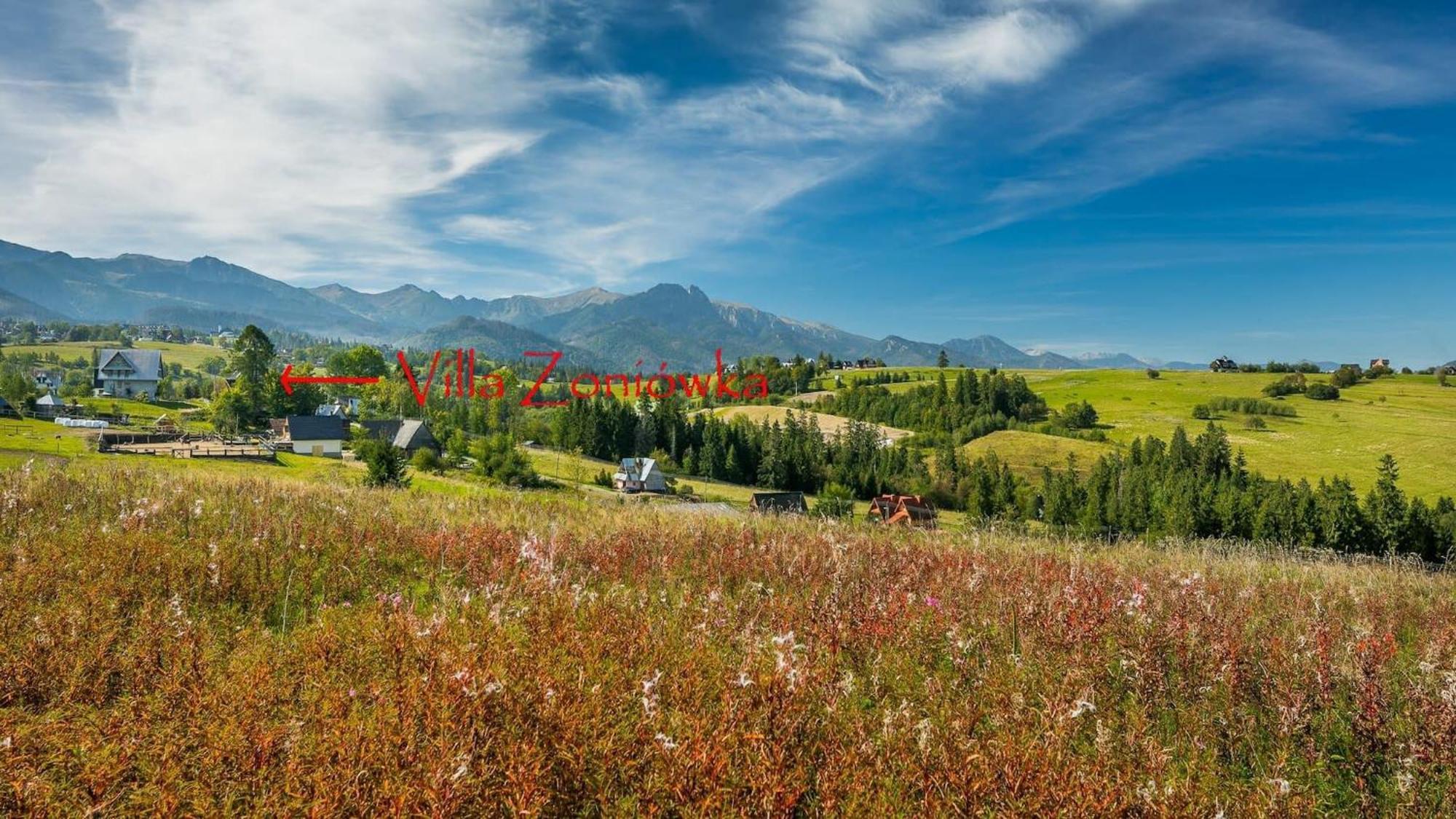 Rent Like Home - Willa Zoniowka Premium Zakopane Eksteriør billede